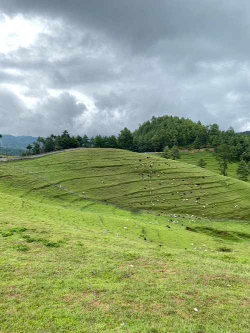 Chitlang Hiking